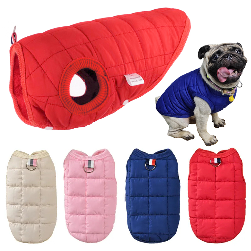 Winter Clothing In French - Winter katoenen jas voor huisdieren Warme