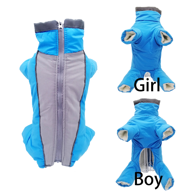 Winter Clothing In French - Winter Hondenkleding Super Warme Jas Dikkere