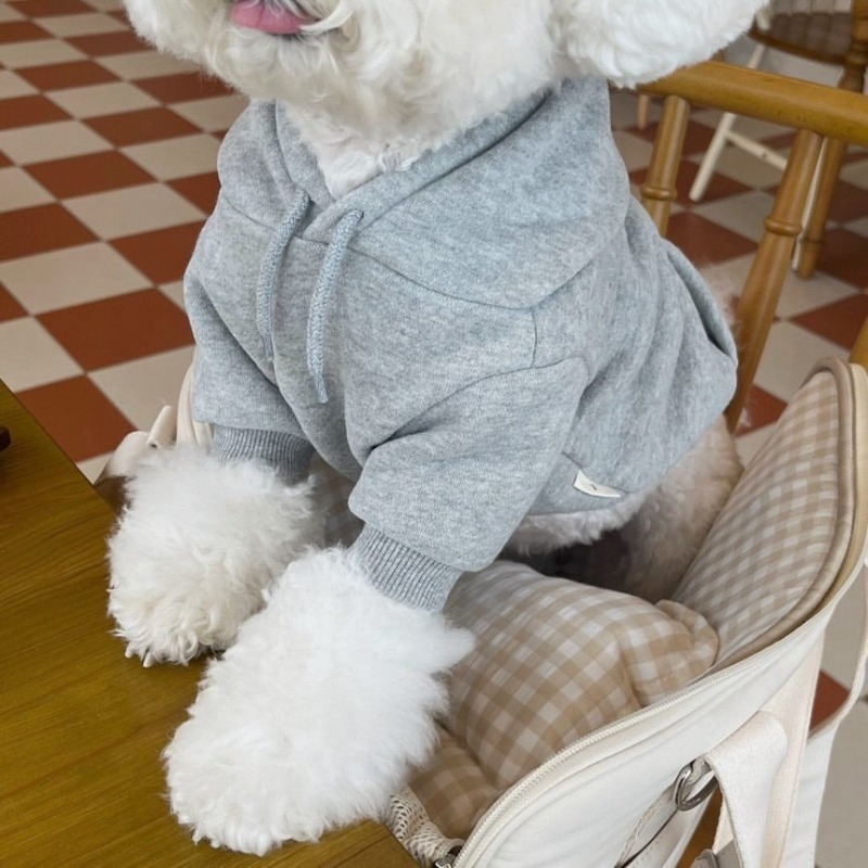 Letter Hoodie Huisdierkleding  - Winter Clothing In French recensie en prijs