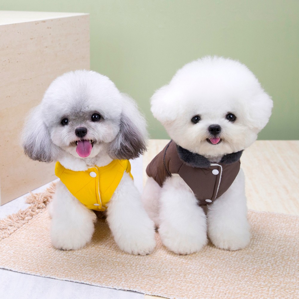 Winterjas voor honden met bont - Winter Clothing In French recensie en prijs